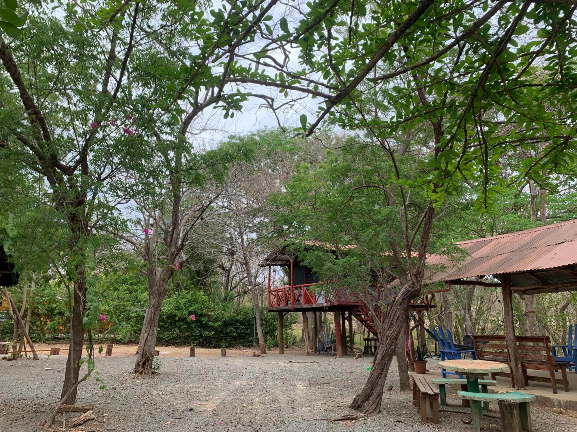 Nieves Surf Hostel And Camping Playa Avellana Extérieur photo
